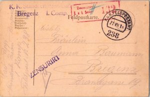 Austria Soldier's Free Mail 1918 K.u.K. Feldpostamt 238 Feldpostcard to Brege...