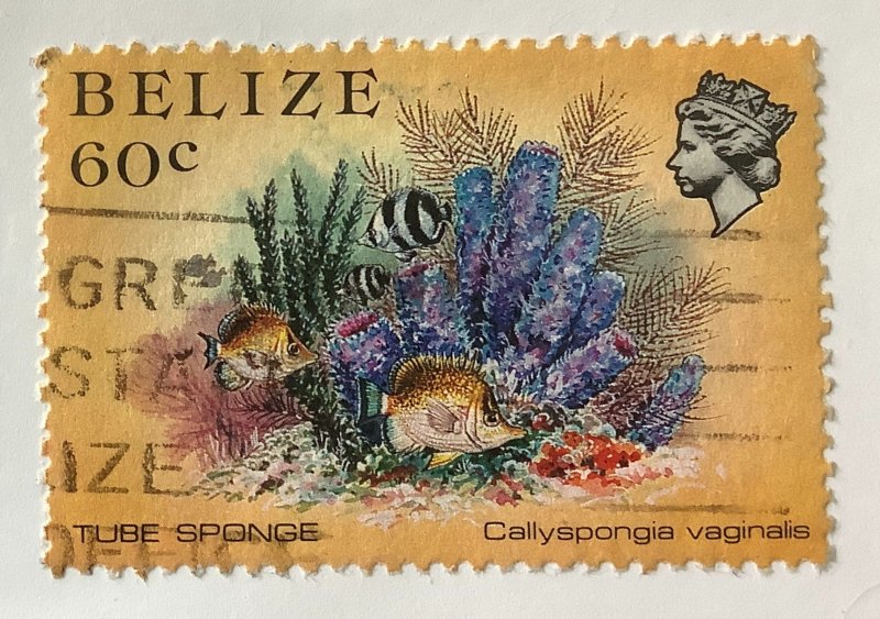 Belize 1984 Scott 709a , Perf 13.½, used - 60c,  marine life,  Coral Reef