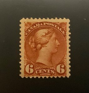 CANADA SC#43 XF MLH OG SCOTT CV$240.00