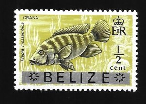 Belize #327  Crana Fish