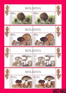 MOLDOVA 2007 Nature Flora Plants Mushrooms Fungi 8v Sc552-555 Mi578-581 MNH