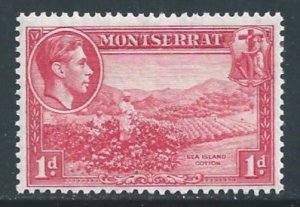 Montserrat #93a NH 1p Carr's Bay - Perf. 13