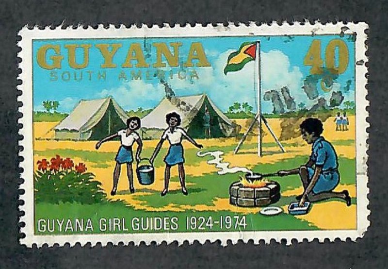 Guyana #203 used single