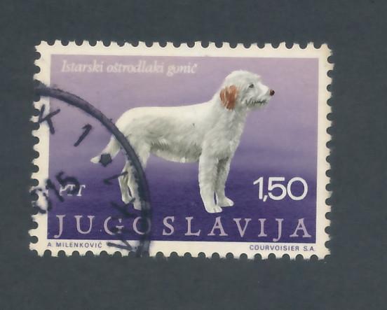 Yugoslavia 1970 Scott 1026 used, 150p, Yugoslav breeds of dog, hard-haired hound