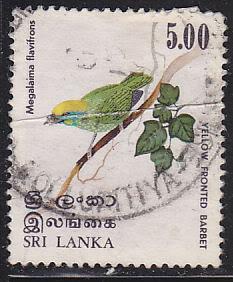 Sri Lanka 568 Yellow-Fronted Barbet 1979