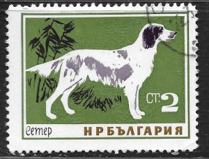 Bulgaria #1349 2s Dogs - Setter ~ CTO HR