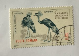 Romania 1964 Scott 1680 CTO - 40b, Bucharest zoo,  crowned cranes