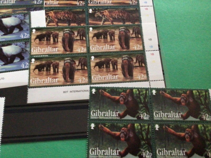 Gibraltar 2011 mint never hinged stamps Wild Animals blocks  A15375