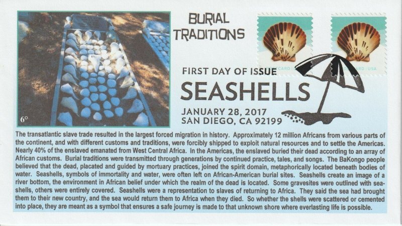 6° Cachets 5164 Seashells used in African Burial Traditions