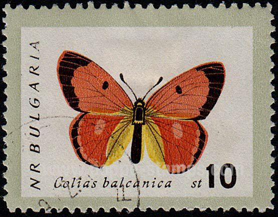 Bulgaria SG#1343 Used - 1962 10s.  - Butterflies, Insects