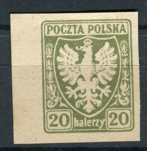 POLAND; 1919 early Polish Eagle Imperf Marginal issue Mint hinged 20h. value