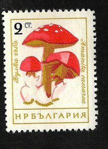 Bulgaria 1961 - U - Scott #1183