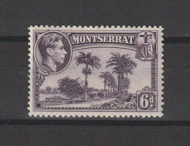 MONTSERRAT 1938/48 SG 107 MINT Cat £25