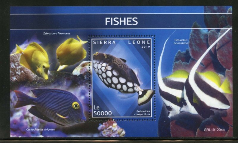 SIERRA LEONE 2019 FISHES  SOUVENIR SHEET MINT NH