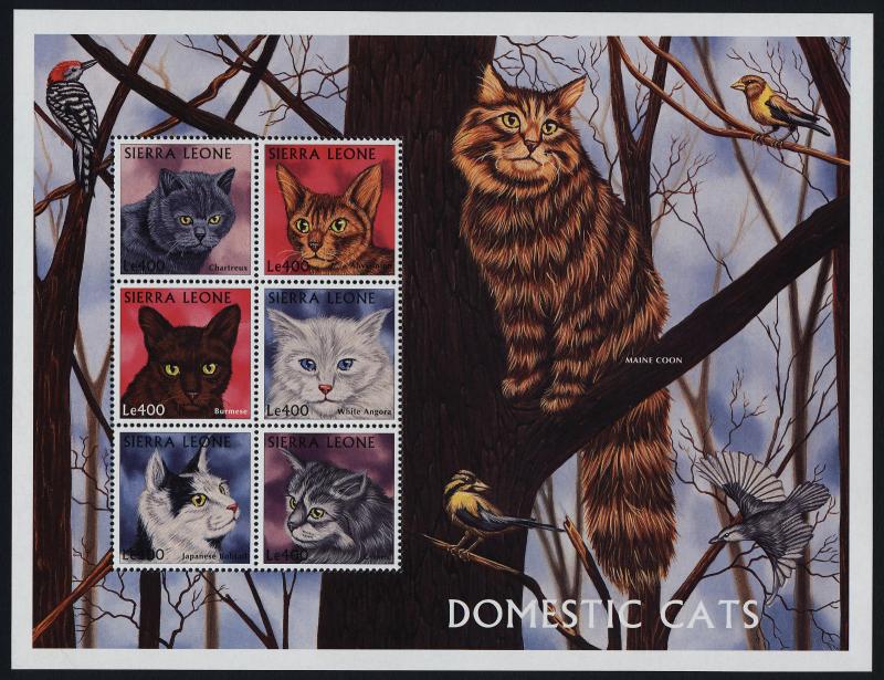 Sierra Leone 2039 MNH Domestic Cats, Birds