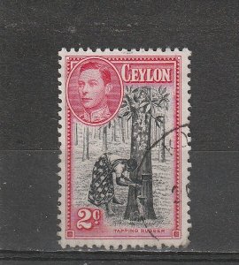 Ceylon  Scott#  278c  Used  (1949 Tapping Rubber Tree)