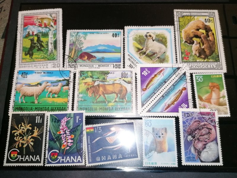 Large world lot stamps, blocks,minisheets mostly MNH see photos