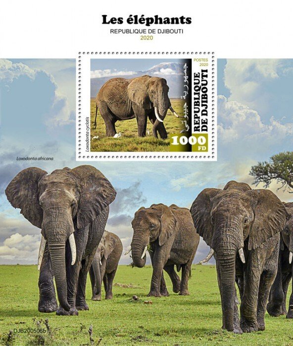 DJIBUTI - 2020 - Elephants - Perf Souv Sheet  - Mint Never Hinged