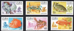 CUBA Sc# 3571-3576  MARINE LIFE fish ocean sea Cpl set of 6 1994  MNH mint