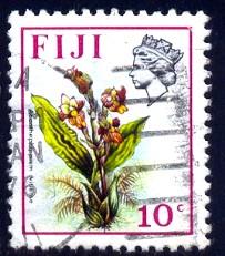 Orchid, Acanthephippium Vitiense, Fiji stamp SC#312 used