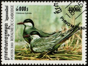 Cambodia 1981 - Cto - 4000r Whiskered Tern (2000) (cv $0.75) +