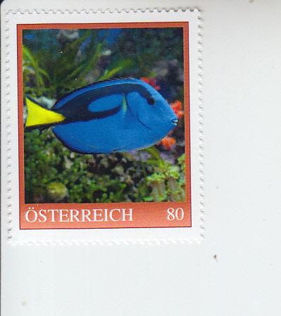 2019 Austria Pallet Doctor Fish (Scott NA) MNH