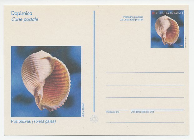 Postal stationery Croatia 1997 Shell - Tonna galea