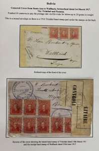 1917 Santa Ana Bolivia Censored Cover To Wallbach Switzerland Via Trinidad