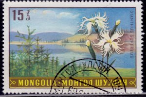 Mongolia, 1969, Flora - Dianthus superbus, 15m, sw#552, used