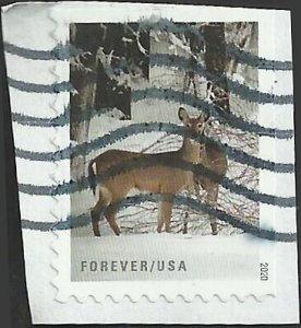 # 5532 Used Winter Scenes