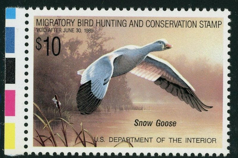    RW55 Snow Geese Federal Duck Stamp $10.00 MNH  Single   