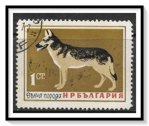 Bulgaria #1348 German Shepherd Used