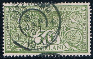 Netherlands B2 Used Semi postal 1906 (MV0270)