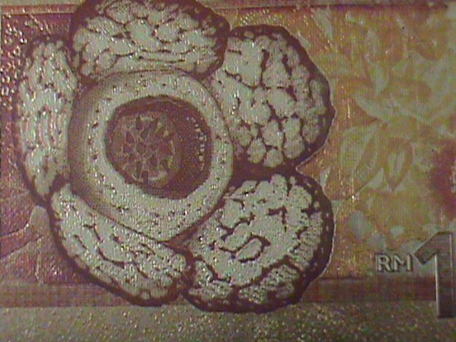 MALAYSIA-2010-24 KARAT GOLD REPLICA $10- RINGGIT BANK NOTE-WITH CERIFICATE VF