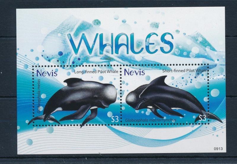 [34994] Nevis 2009 Marine Life Whales MNH Sheet