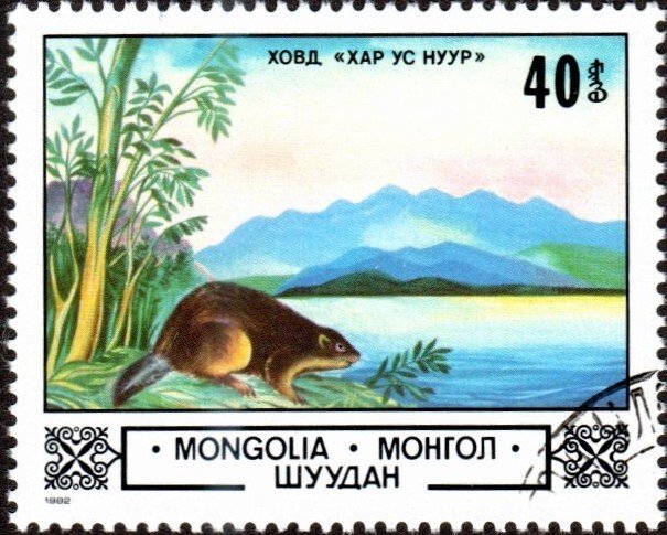 Mongolia 1302 - Cto - 40m Beaver / Lake Hovd (1982) (3)