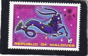 Maldive Islands      #      503      MNH