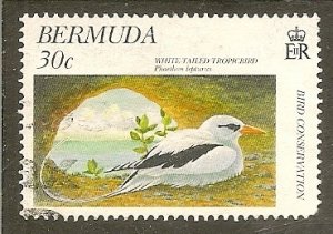 Bermuda  Scott   741   Bird   Used
