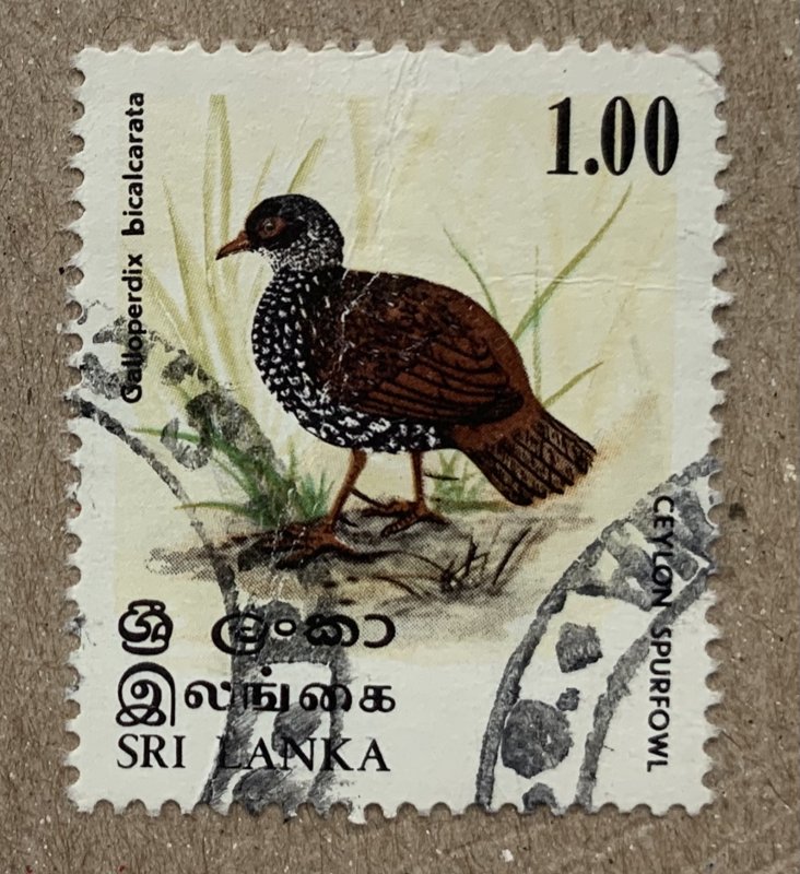 Sri Lanka 1979 1R Bird, used, see note. Scott 567, CV $0.25. SG 687