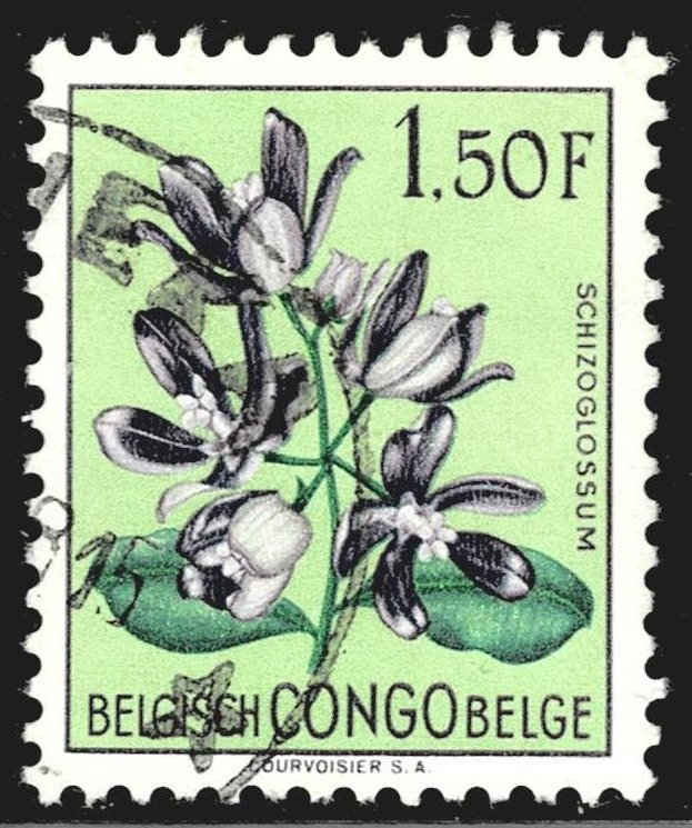 Belgian Congo 273 - used