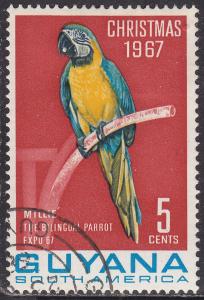 Guyana 34 CTO 1968 Macaw Parrot