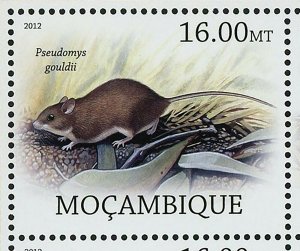 Rodents Stamp Pseudomys Gouldii Megalomys Luciae Souvenir Sheet MNH #5692-5699