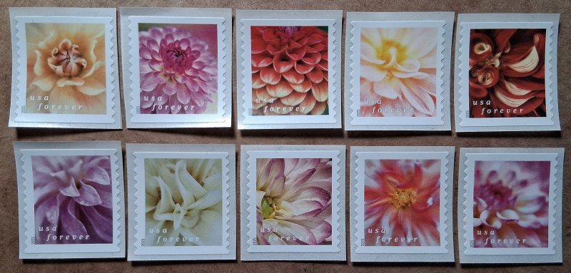 United States #5982-5991 (73c) Dahlias MNH-10 single coils (2025)