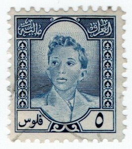 (I.B) Iraq Revenue : Duty Stamp 5f (King Faisal II)