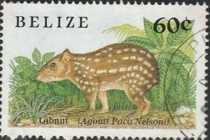 Belize, #913 Used From 1989