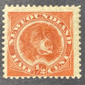 Newfoundland, Scott 57,  Unused, Hinge Mark, Orange Red