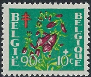 Belgium B487 MLH 1950 issue (ak3624)