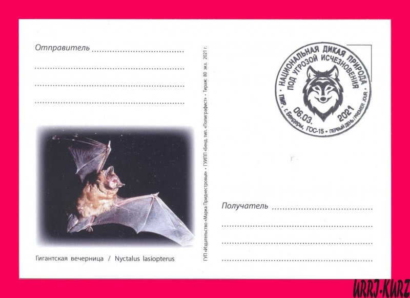 TRANSNISTRIA 2021 Nature Fauna Animals Flying Mammals Bat MaxiCard Maximum Card