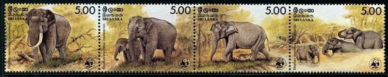 HERRICKSTAMP SRI LANKA Sc.# 803 WWF Elephant Strip