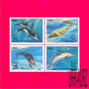 USSR Russia 1990 Nature Marine Fauna Whales Dolphin Sea Lion Block of 4v MNH